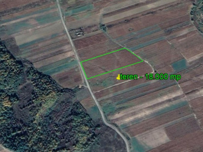 Berești Tazlău - la asfalt teren 18.000 mp - numai 14.500 EUR 