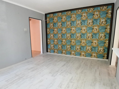 Zona Republicii-strada Bicaz-apartament 2 camere-parter înalt