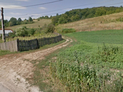 Podiș - lângă pădure - teren intravilan - 2.000 mp - 5,5 Euro/mp